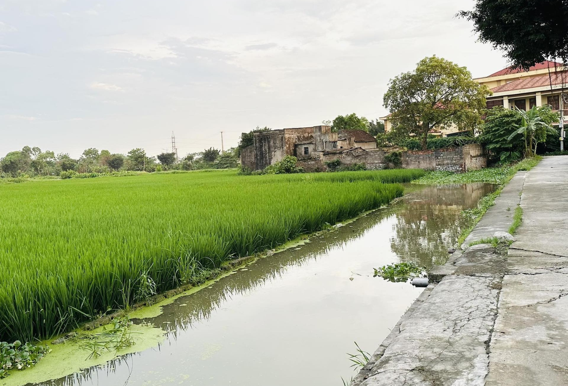 Được cho 2 sào đất lúa, có chuyển thành đất ở được không?