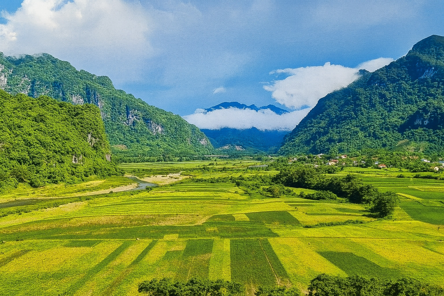 Mùa vàng trên rẻo cao
