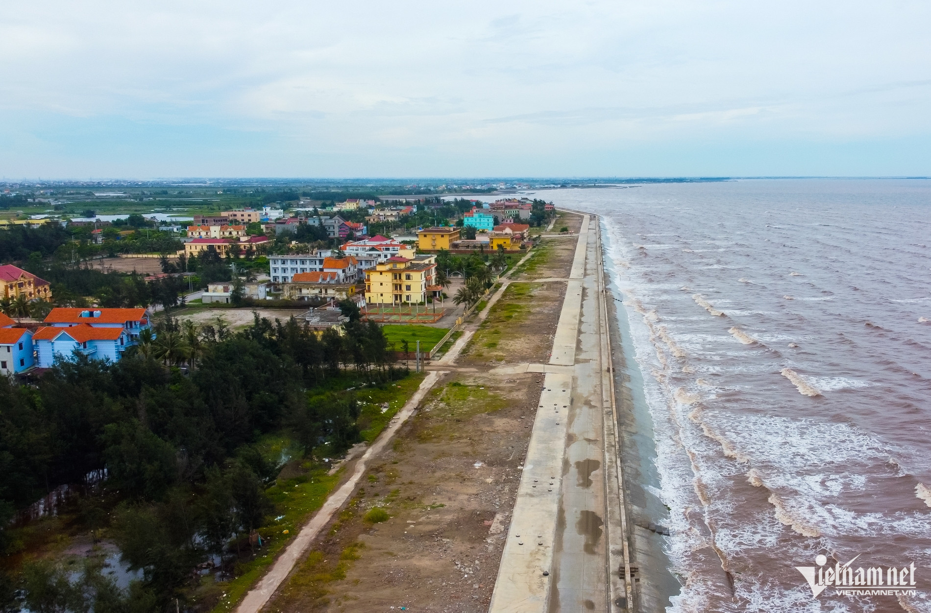 W-OK Quất lâm.jpg