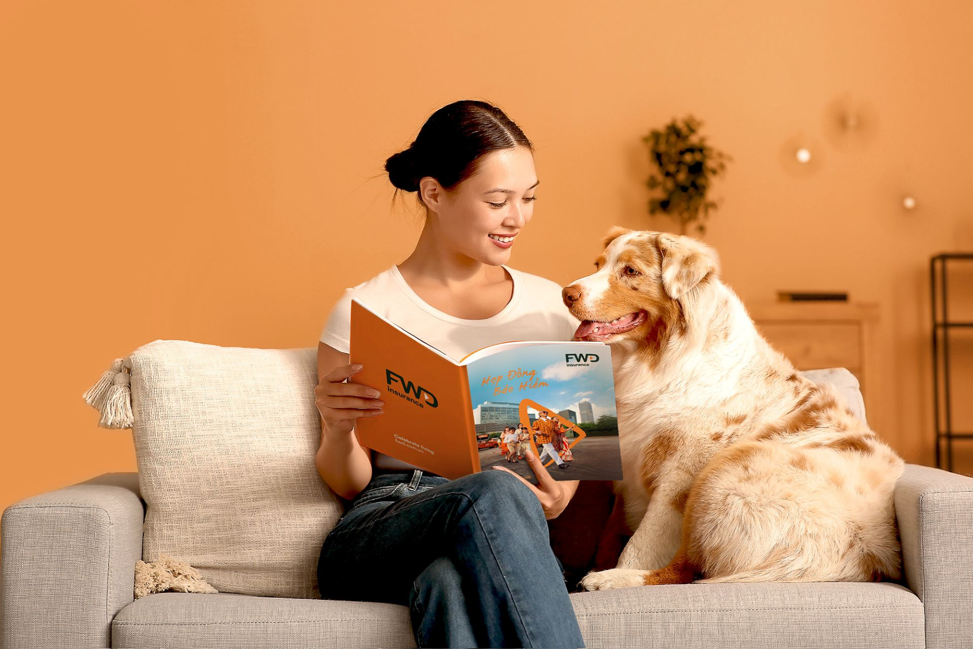 Bộ hợp đồng mới.jpg