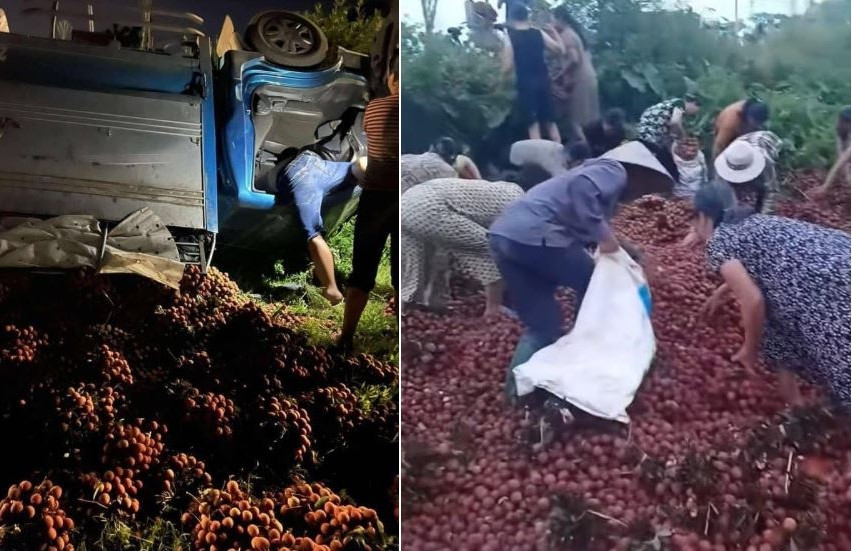 Tài xế chất vải ven đường để sửa xe bị lật, người dân tưởng 'hàng bỏ' thi nhau lấy