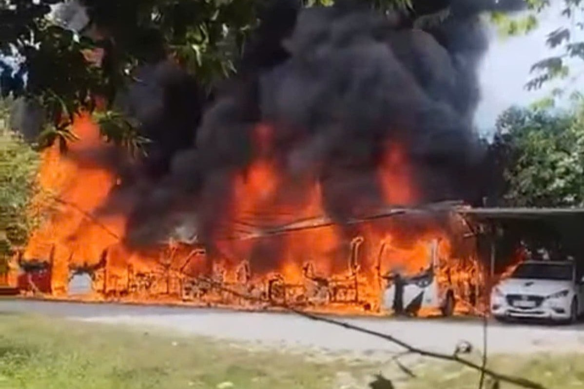 fde8cc74 fb9b 4391 9155 37df35e02849.jpg