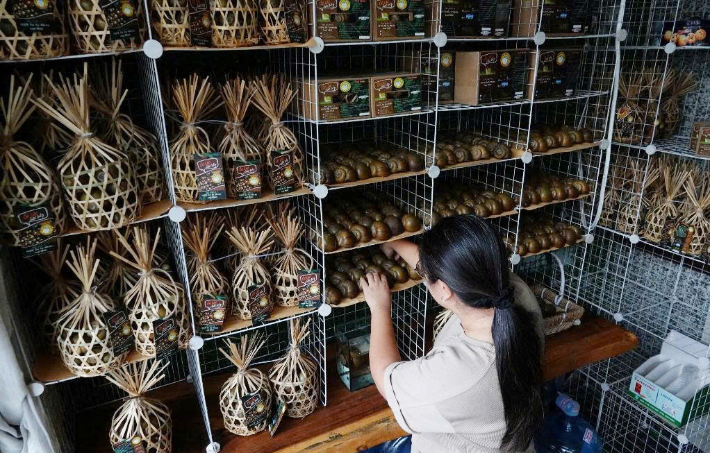 Ốc gác bếp 65.jpg