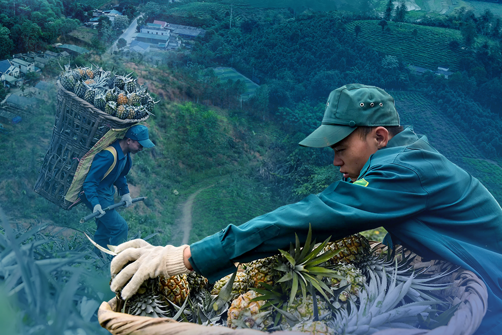 Phát triển KTXH - mô hình bộ đội gắn với dân bản: Giữ bản - giữ biên - giữ niềm tin