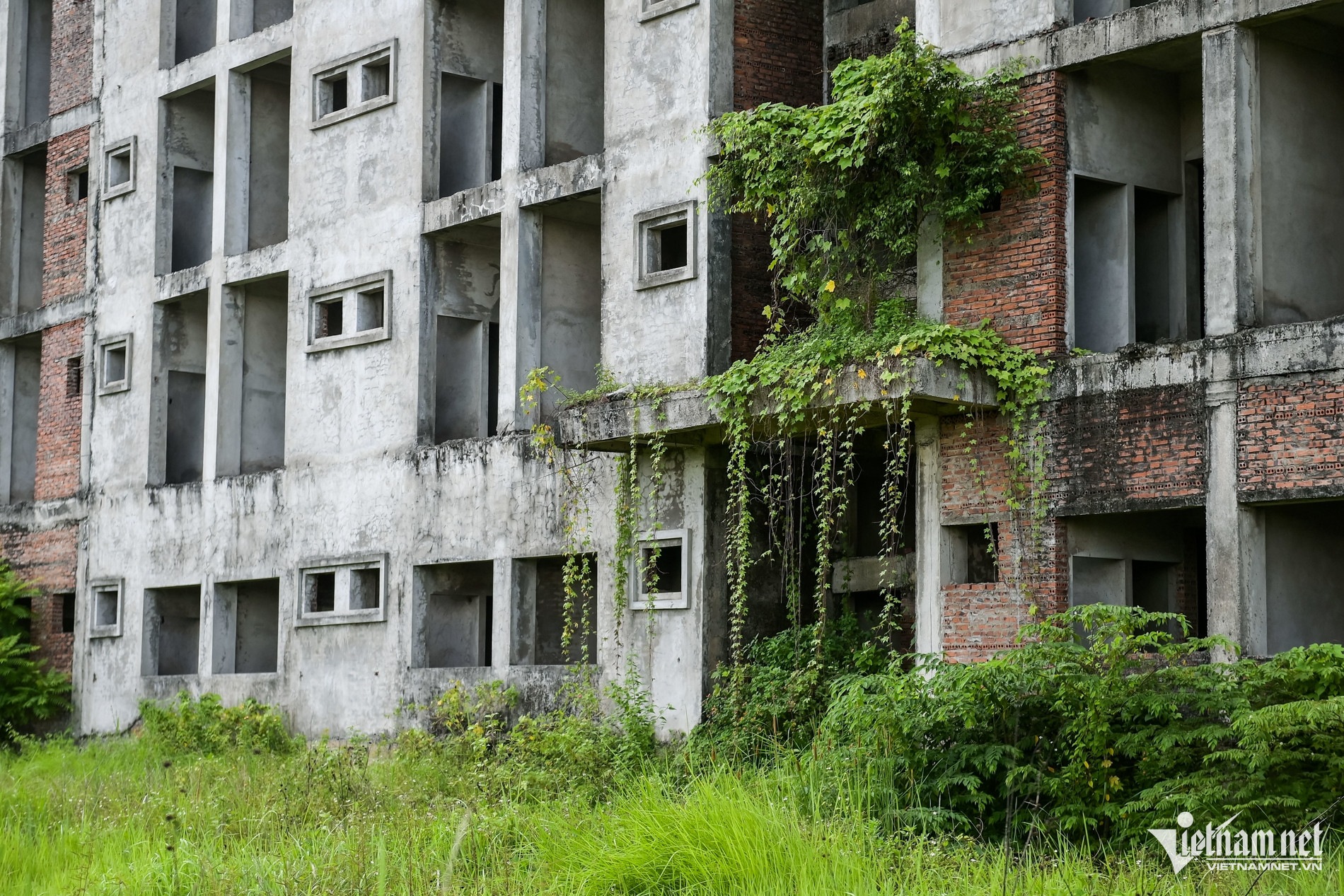 W-Công vụ_7.jpg