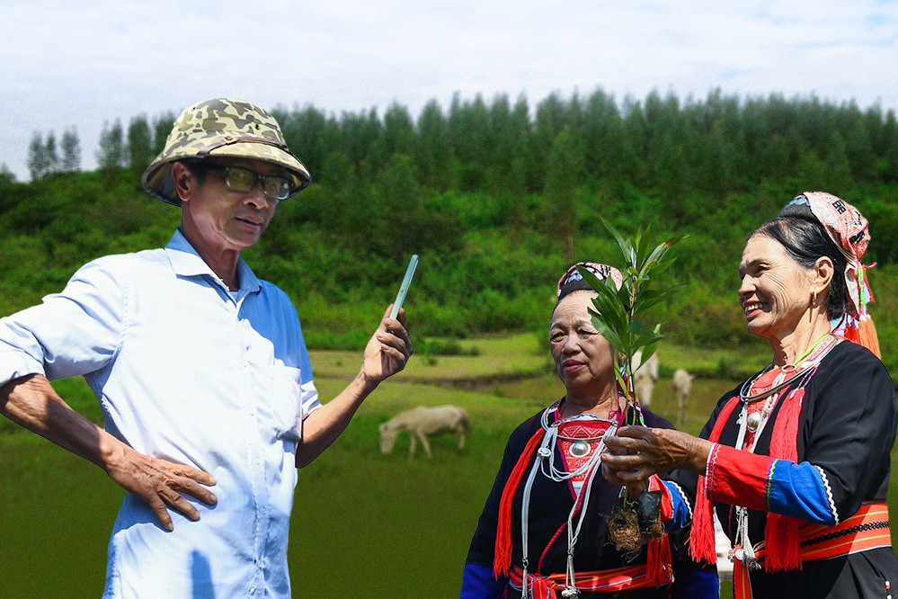 Chương trình MTQG 1719: Miền núi bền vững - cả nước cùng chung tay