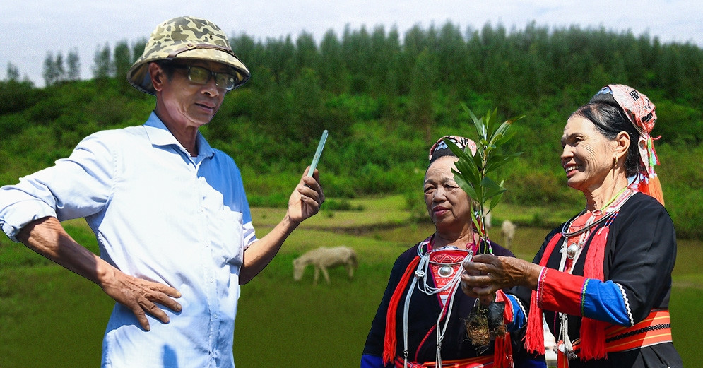 Chương trình MTQG 1719: Miền núi bền vững - cả nước cùng chung tay