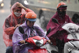W-mua to hoang minh 6.jpg