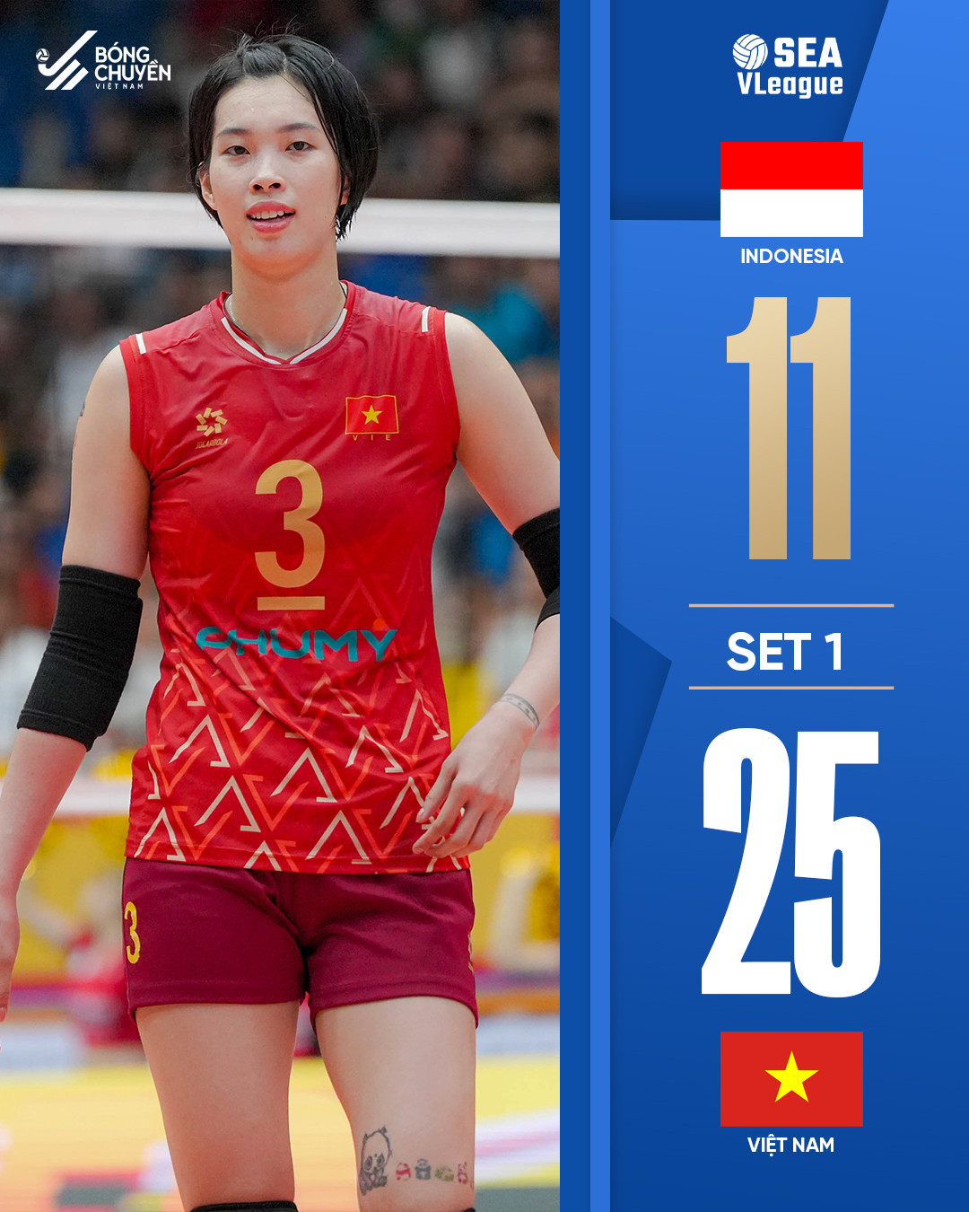 bong chuyen nu viet nam 1.jpg