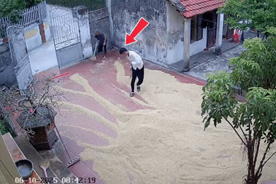 Cụ bà 103 tuổi vẫn quét thóc chạy mưa, đi bộ thăm em gái hơn 90 tuổi ở Ninh Bình