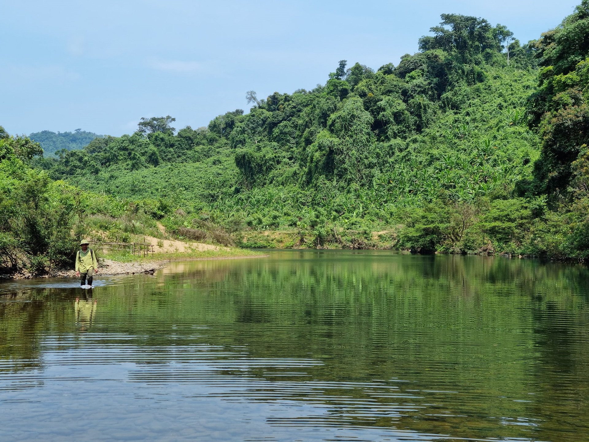 Khu DTTN Dong Chau   Khe Nuoc Trong3.jpg