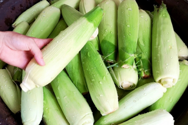 Luộc ngô đừng vội bóc sạch vỏ, mẹo nhỏ giúp món ăn ngon ngọt như ngoài hàng