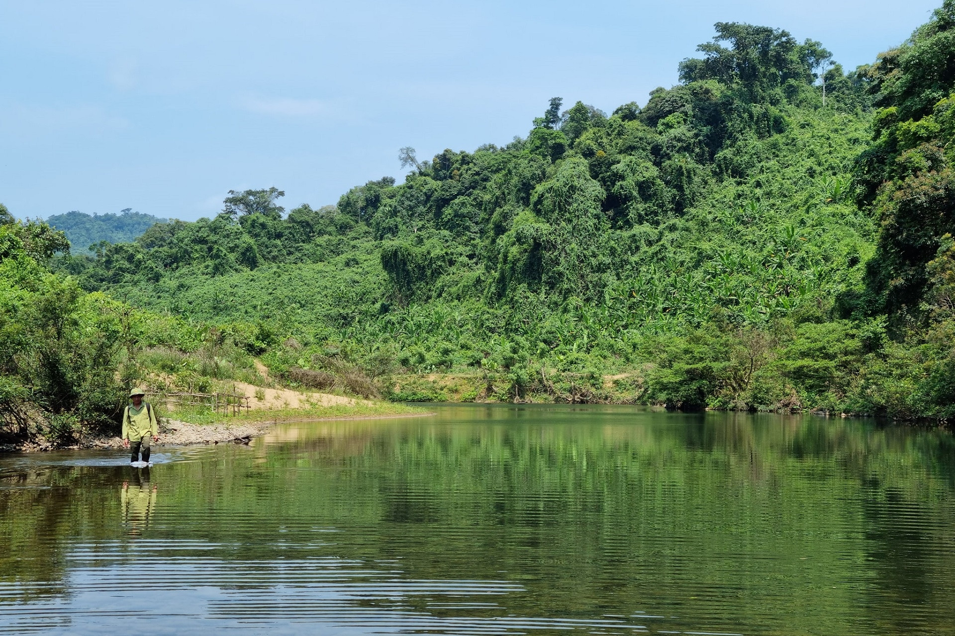 Những loài cây giúp bà con Bru Vân Kiều không cần dùng thuốc tây