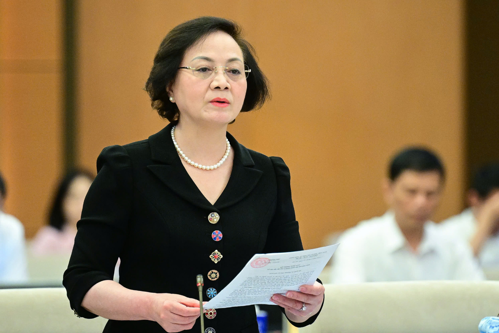 pham thi thanh tra.jpeg