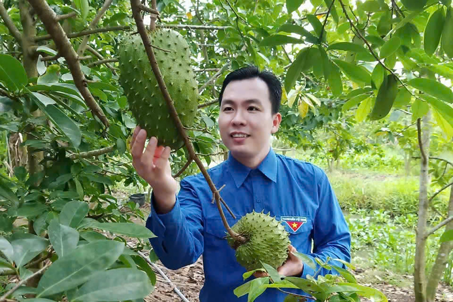 Phó công an xã làm trà từ trái mãng cầu xấu mã, mỗi tháng thu hàng chục triệu