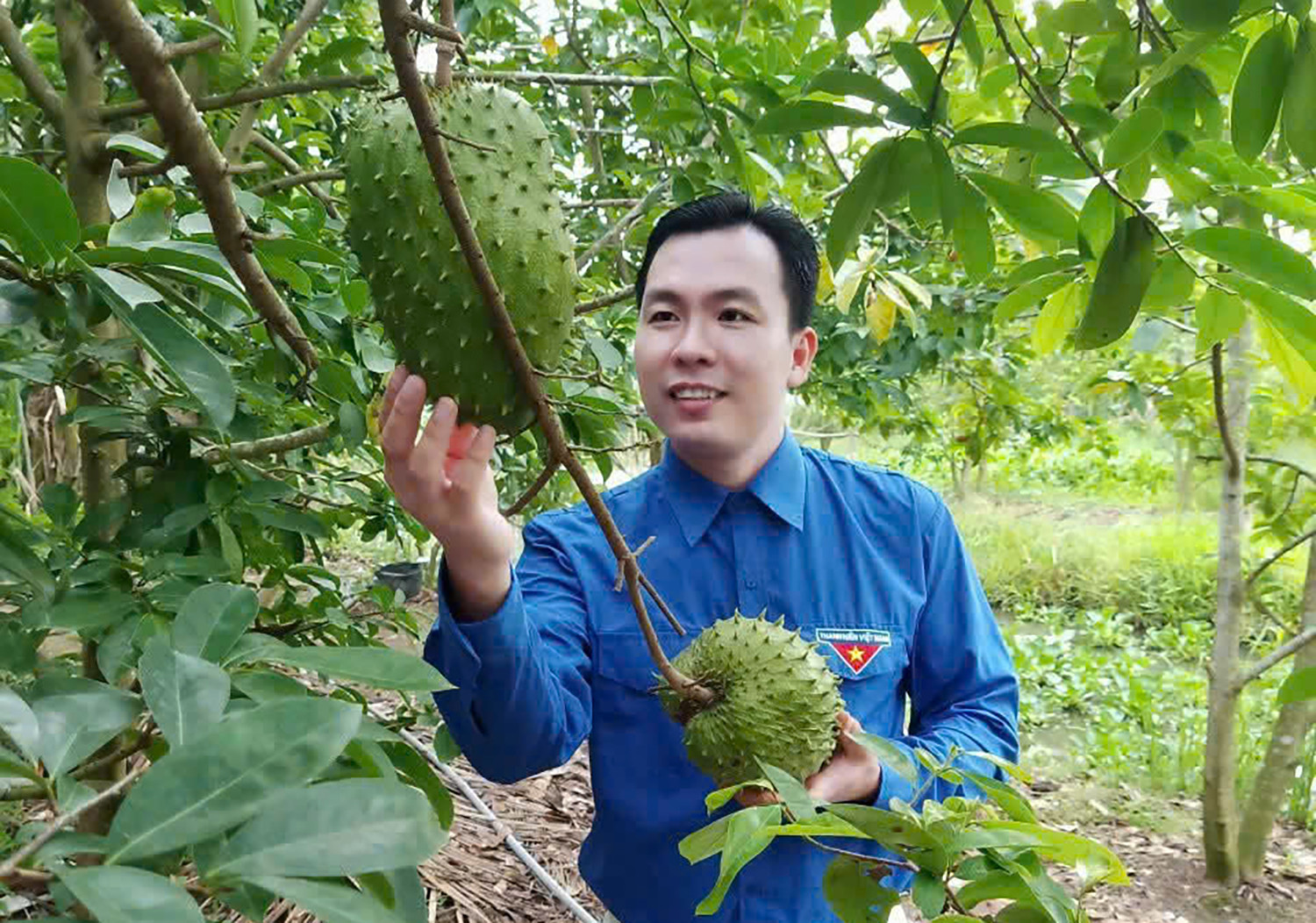 trà mãng cầu.jpg