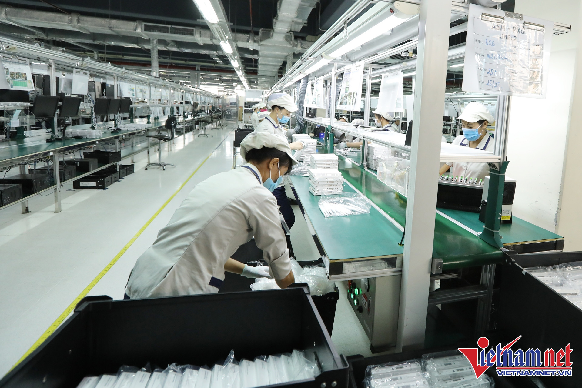 ‘Công nghệ mới, AI đang tác động trực tiếp đến làn sóng layoff tại Việt Nam’ 1 W-nhan luc CNTT 1.jpg