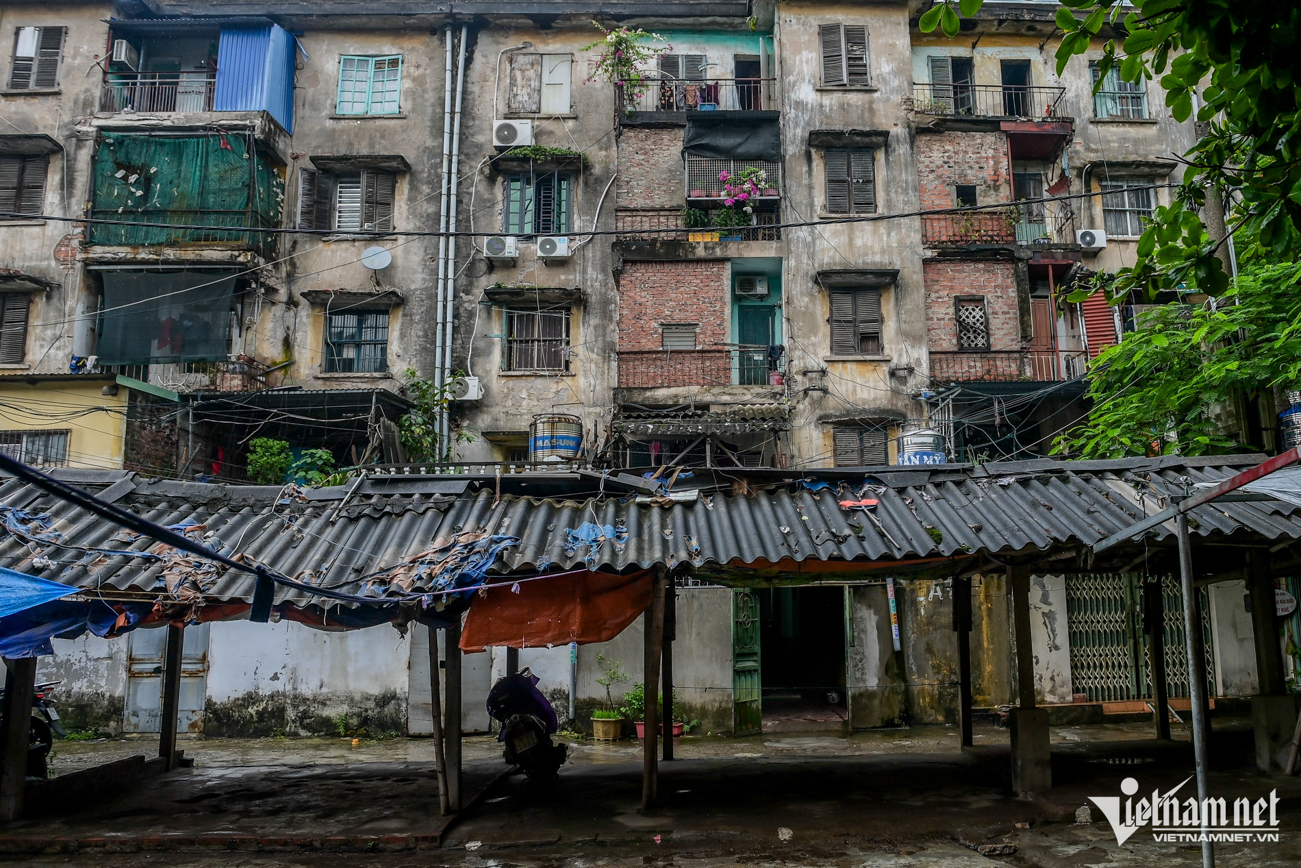 W-Quât Lâm ngập_10.jpg