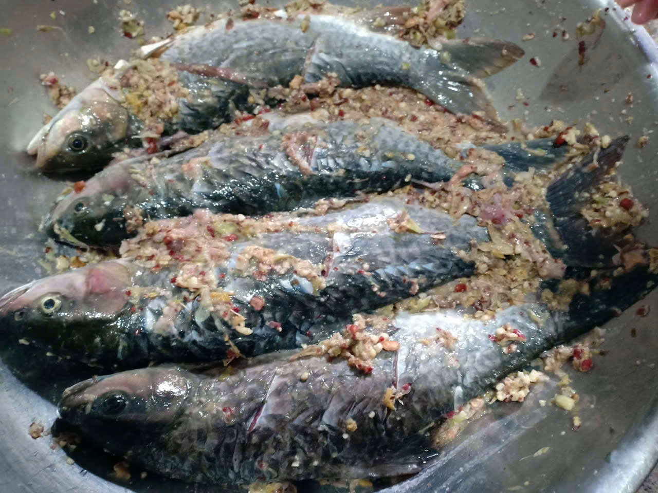 z6857976046126_a72f9f6f67297f8e703896a59ee0ec3b.jpg