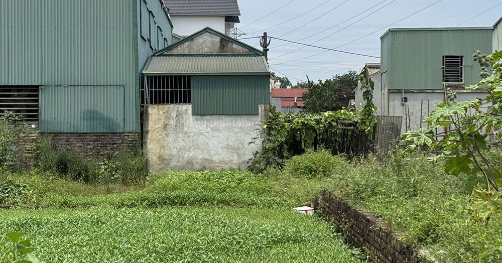 Bỏ 500 triệu tiết kiệm mua đất không sổ đỏ, vợ chồng tan giấc mơ đổi đời