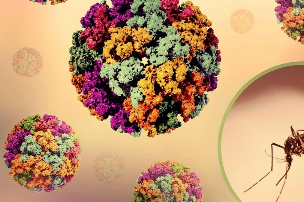 Dịch sốt Chikungunya bùng phát ở nhiều nước, Bộ Y tế nói gì?