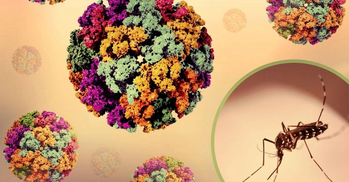 Dịch sốt Chikungunya bùng phát ở nhiều nước, Bộ Y tế nói gì?