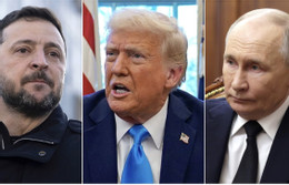 Nhà Trắng cân nhắc mời Tổng thống Ukraine tới Alaska