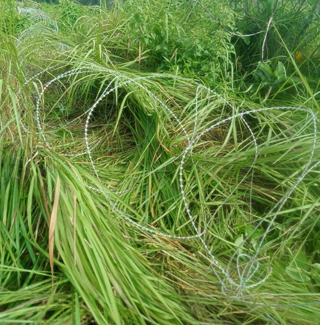 thai lan campuchia 7.jpg