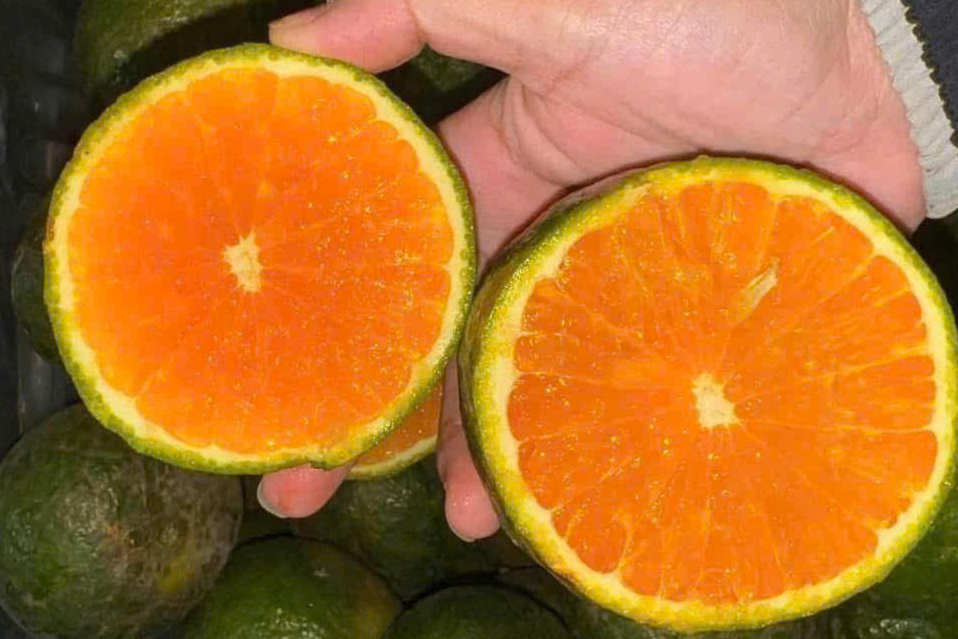 Bốn điều cần biết trước khi uống nước cam