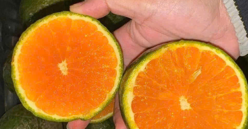 Bốn điều cần biết trước khi uống nước cam