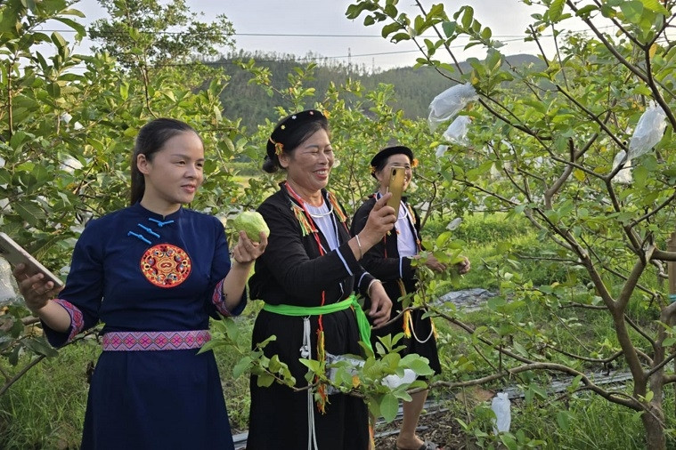 Cơ sở vững chắc để Quảng Ninh xây dựng nông thôn mới thông minh
