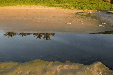 Dòng nước đèn ngòm, bốc mùi hôi chảy ra biển Mũi Né