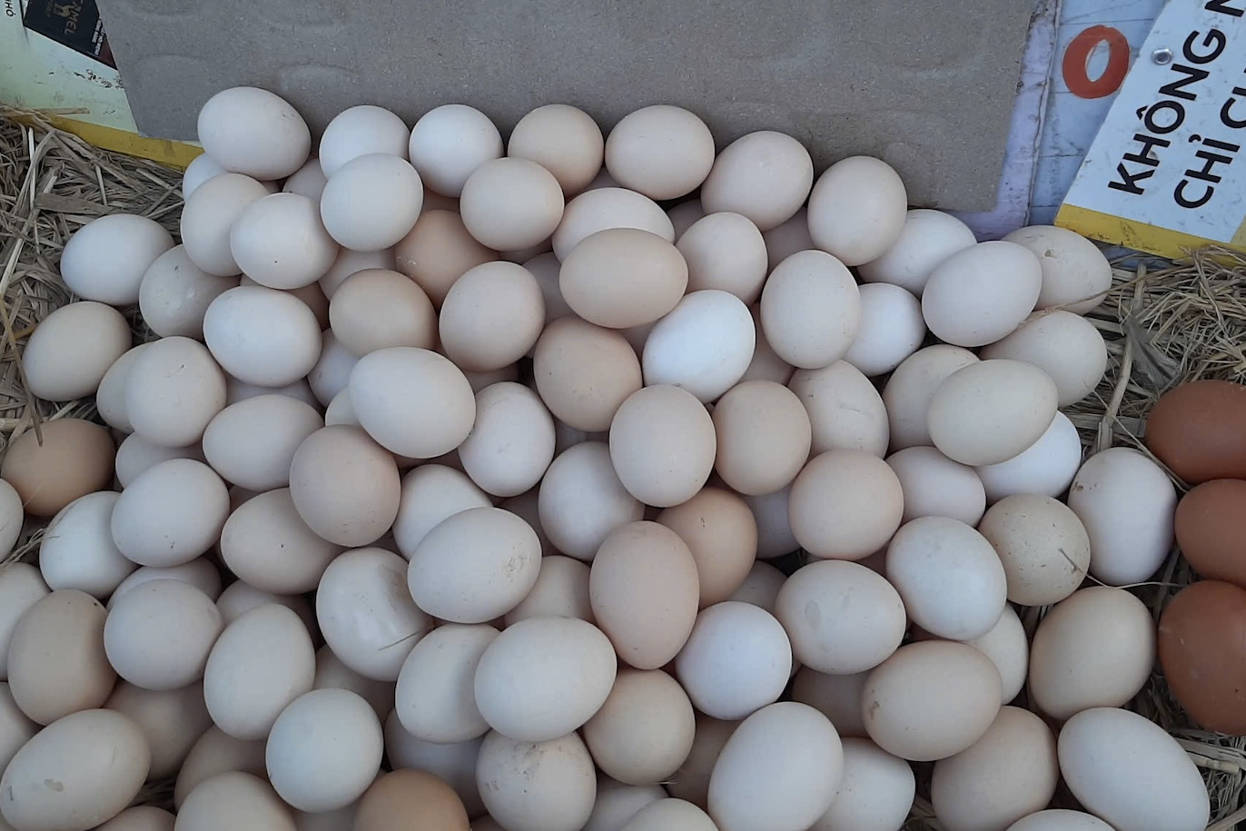 Giá trứng tăng gấp đôi chỉ trong 1 tháng, nông dân lãi tiền triệu mỗi ngày