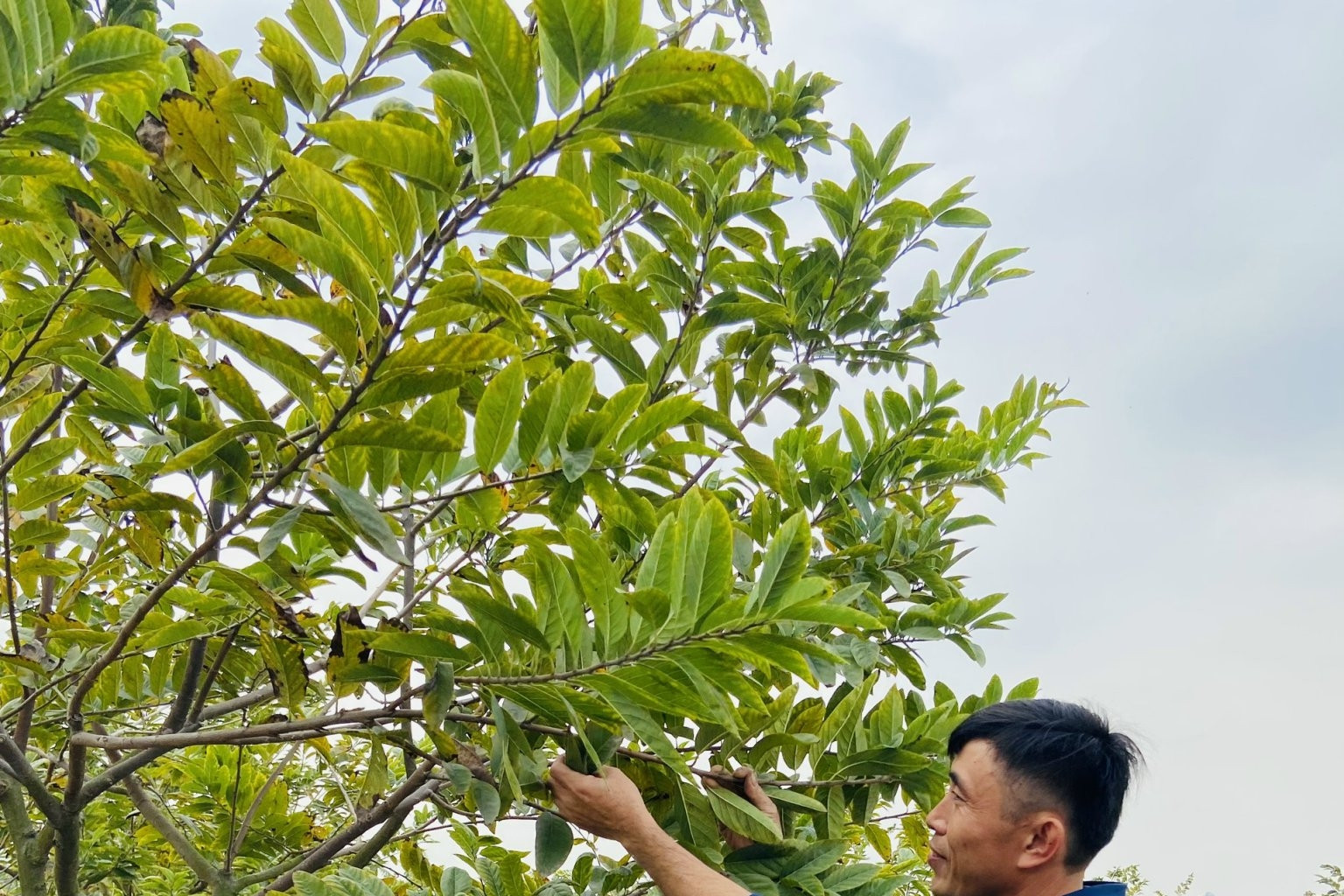 Hải Phòng: Đẩy mạnh khởi nghiệp nông nghiệp trong xây dựng nông thôn mới