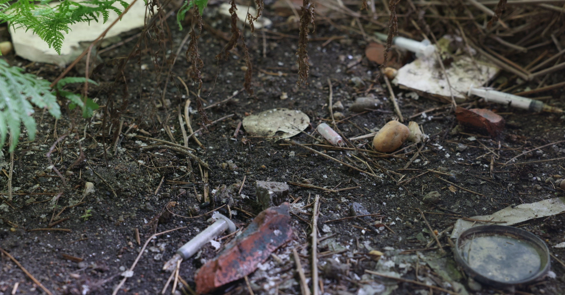 Cảnh đáng sợ bên trong sân vận động bỏ không nhiều năm ở Phú Thọ