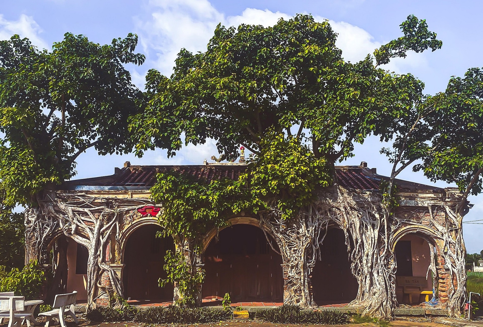 Ngôi đình 'độc nhất vô nhị' ở Đồng Tháp, được 2 cây bồ đề buông rễ ôm trọn