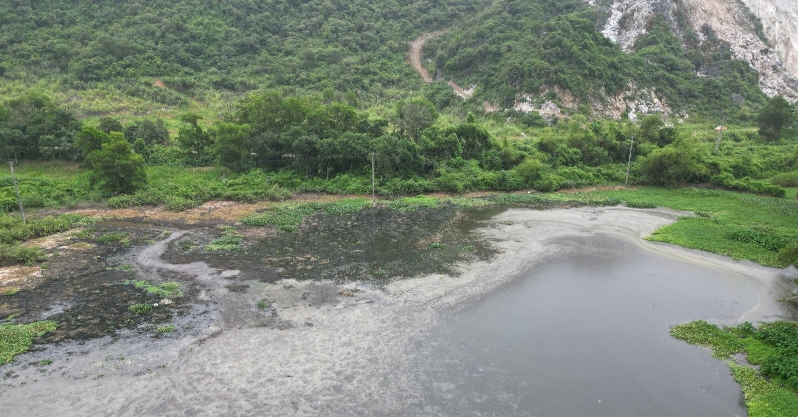 Trại lợn xả thải trực tiếp ra môi trường khiến hồ nước đổi màu