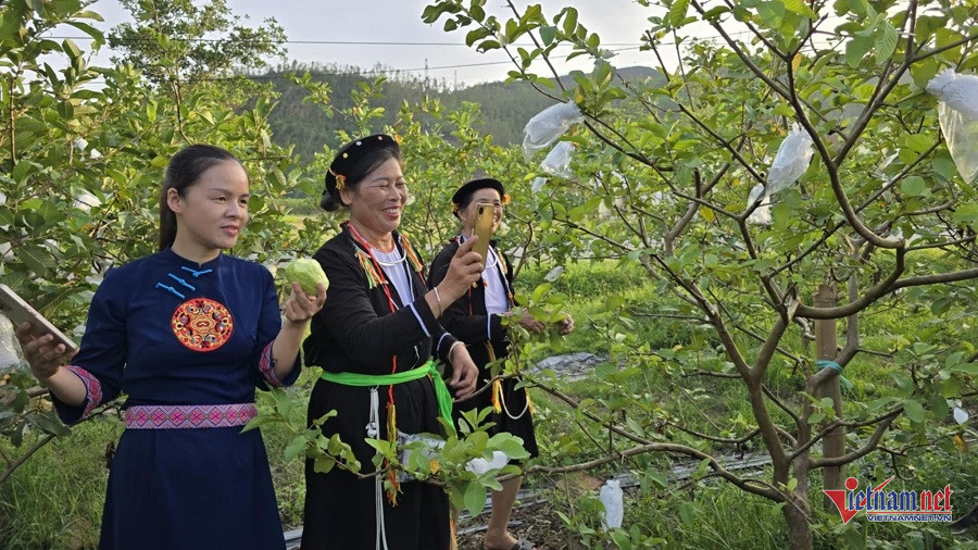 W-7c2678be 96a7 4d73 a498 db47016b8745.jpg