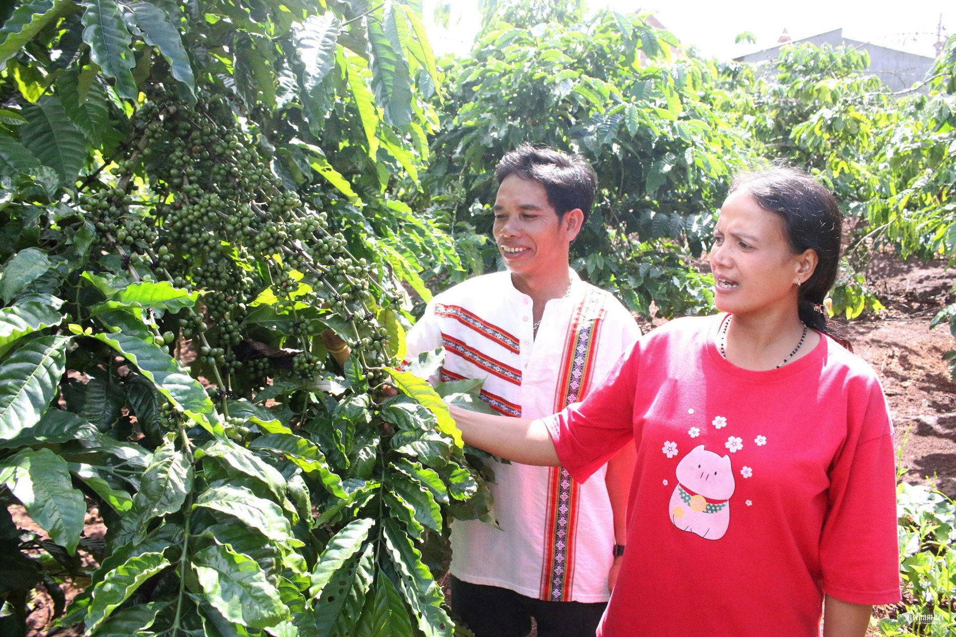 W-CHÍ   XÓA NHÀ TẠM 5.jpg