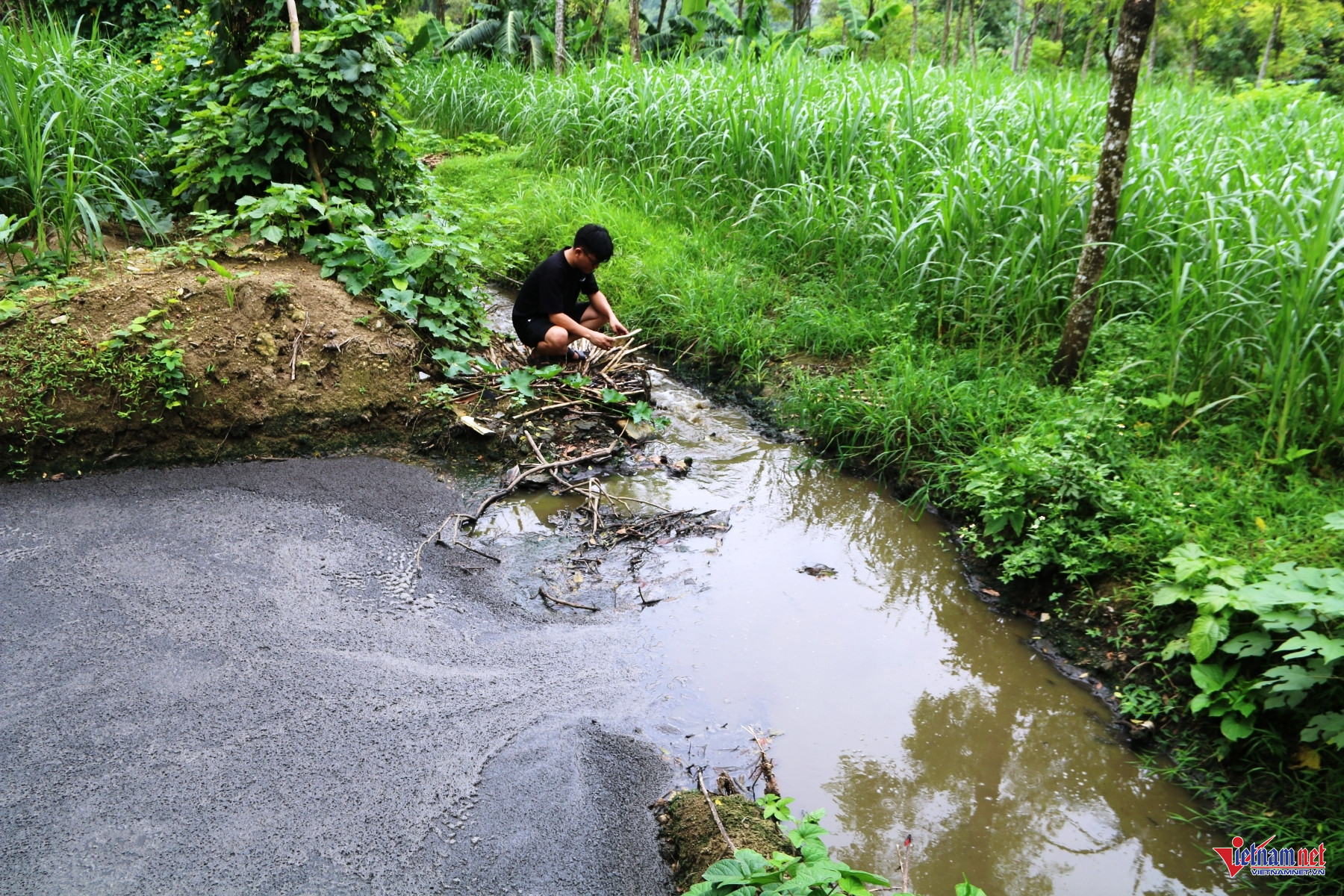 W-Trại Lợn 1.JPG.jpg