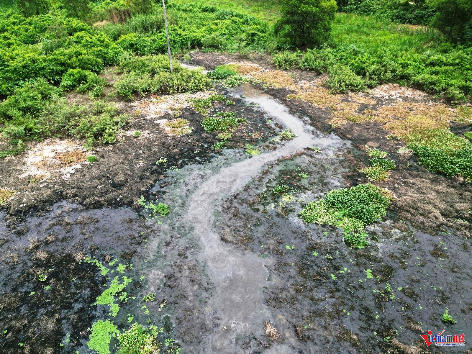 W-Trại lợn 2.jpg