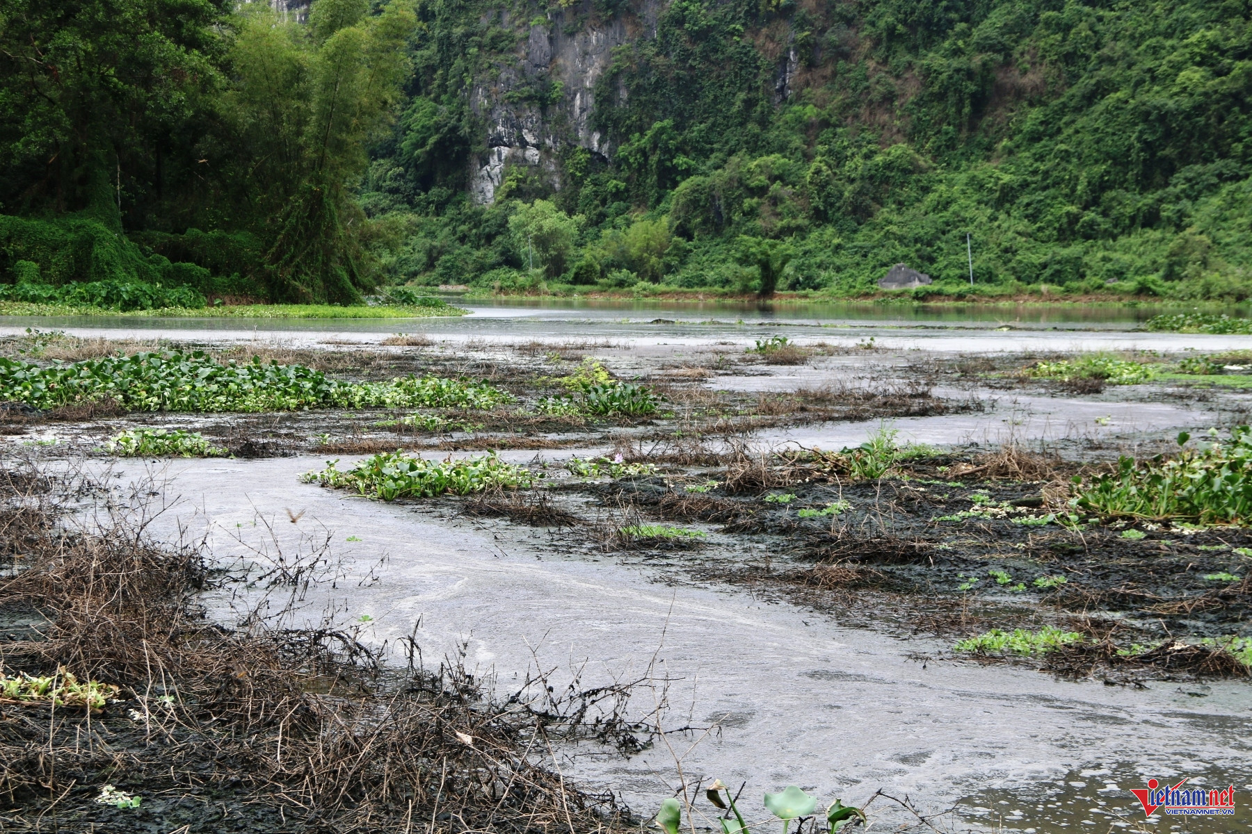 W-Trại lợn 6.JPG.jpg