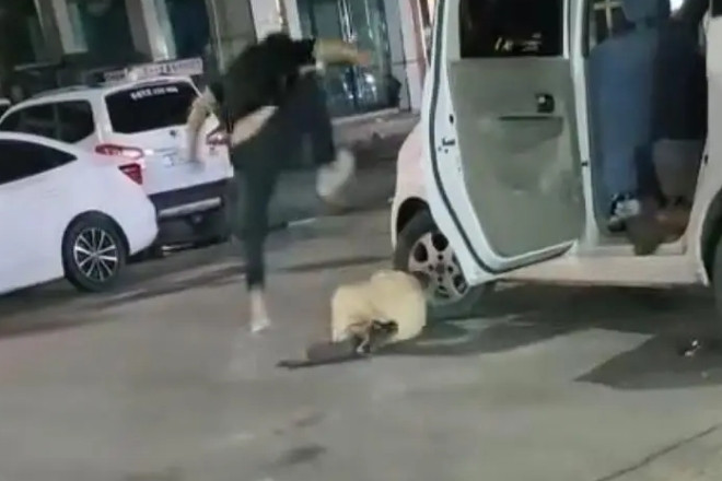 Bố đánh con gái dã man giữa phố, ép lên xe vì không chịu về nhà