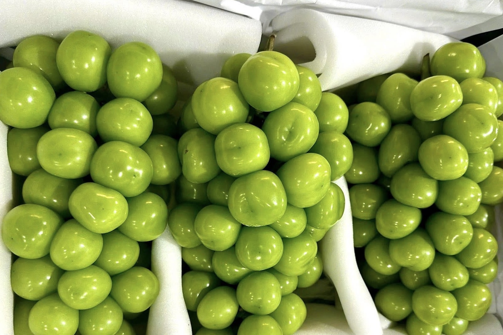Nho sữa Trung Quốc loại bình dân chỉ còn 15.000 đồng/kg, ngang với mớ rau