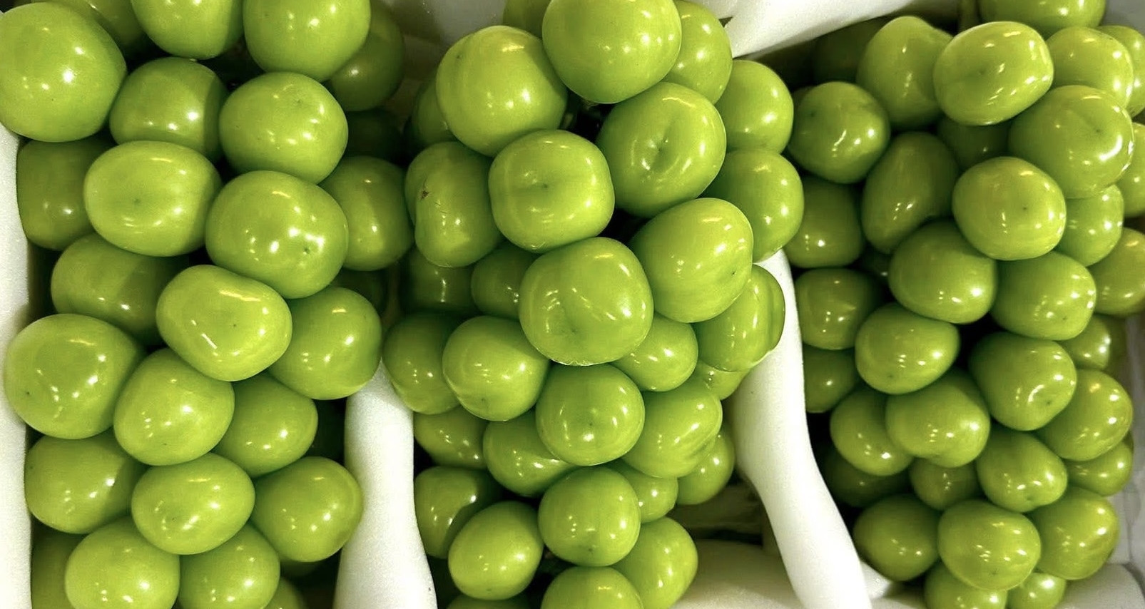 Nho sữa Trung Quốc loại bình dân chỉ còn 15.000 đồng/kg, ngang với mớ rau