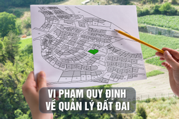 Ký giấy cho mua bán đất rừng Sóc Sơn, loạt cựu cán bộ Hà Nội hầu tòa