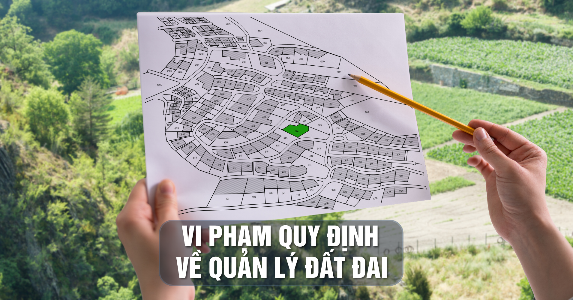 Ký giấy cho mua bán đất rừng Sóc Sơn, loạt cựu cán bộ Hà Nội hầu tòa