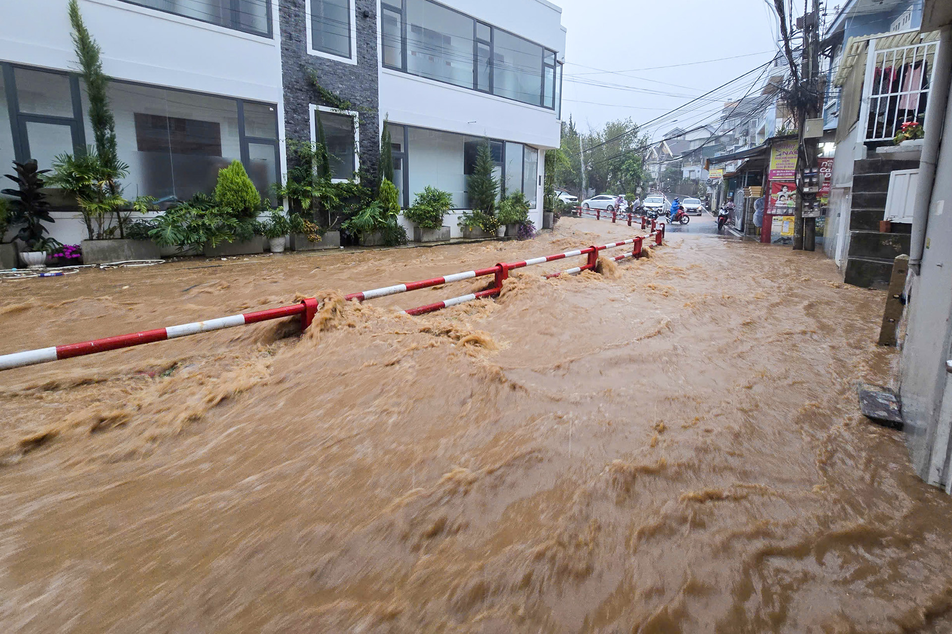 Mua lu da lat 2.jpg