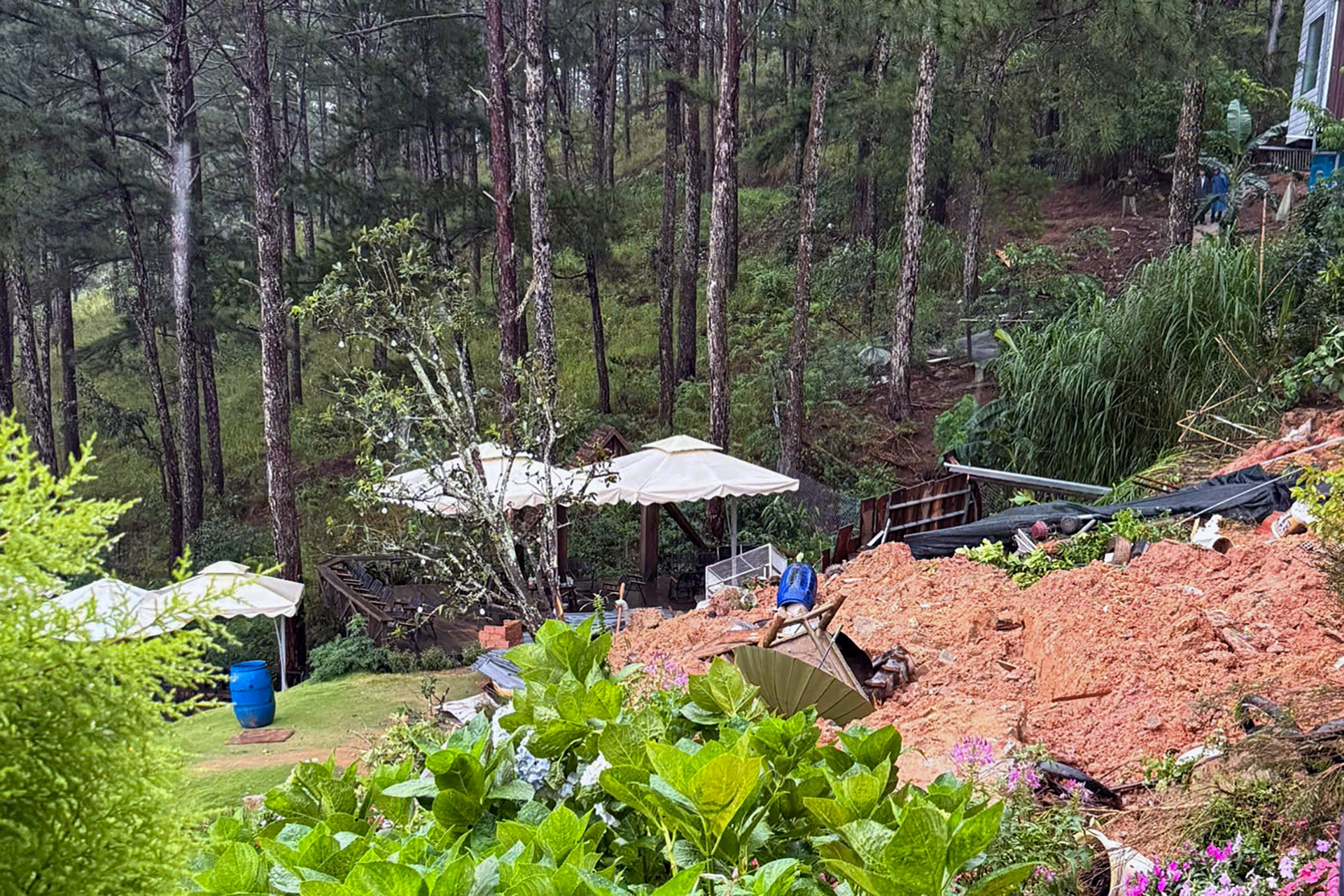 Mua lu da lat 3.jpg