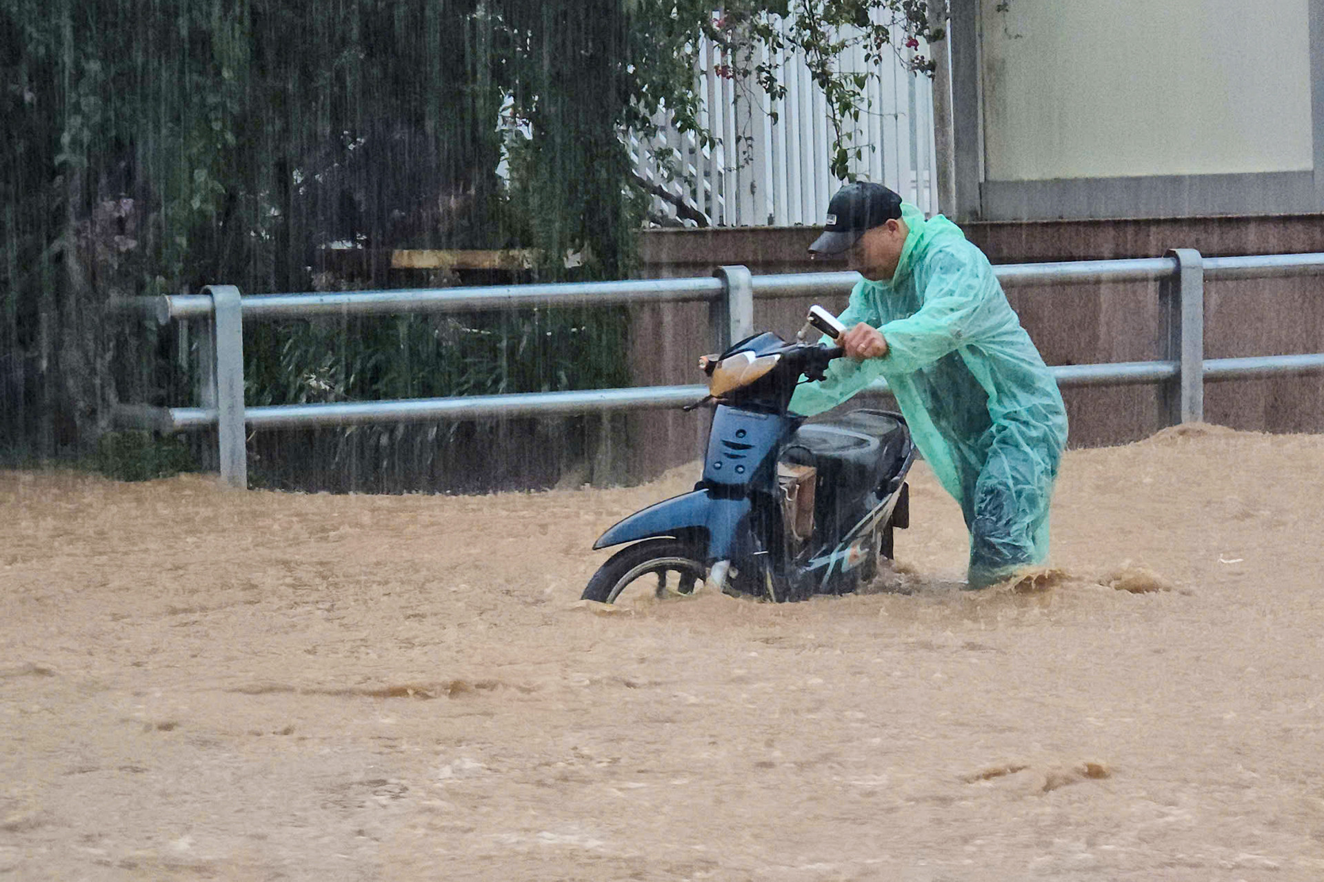 Mua lu da lat 5.jpg